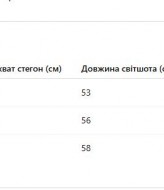 Спортивный костюм на флисе на девочку  EPZ-497A730