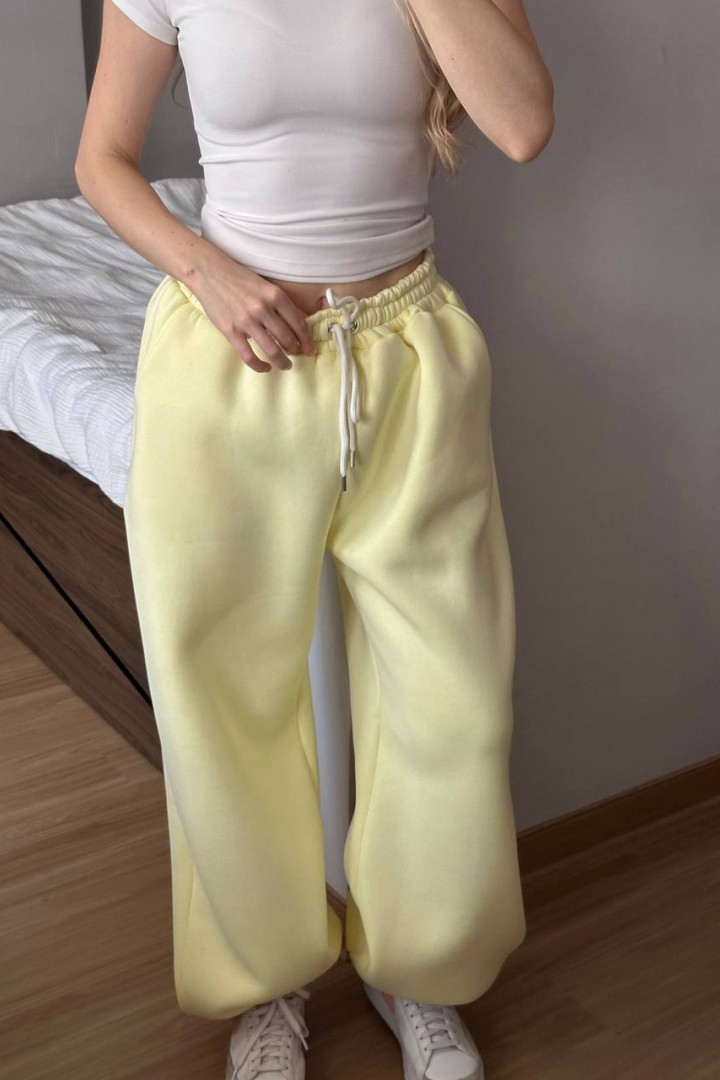 Теплі  спорнивні штани  HOU-397A550 