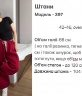 Теплі  спорнивні штани  HOU-397A550 