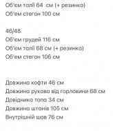 Жіночий прогулянковий костюм трійка ANM-421A700