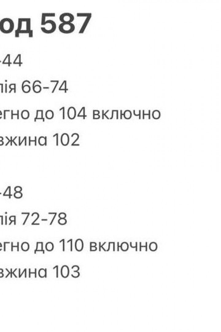 Брюки с высокой посадкой INNA-587A520