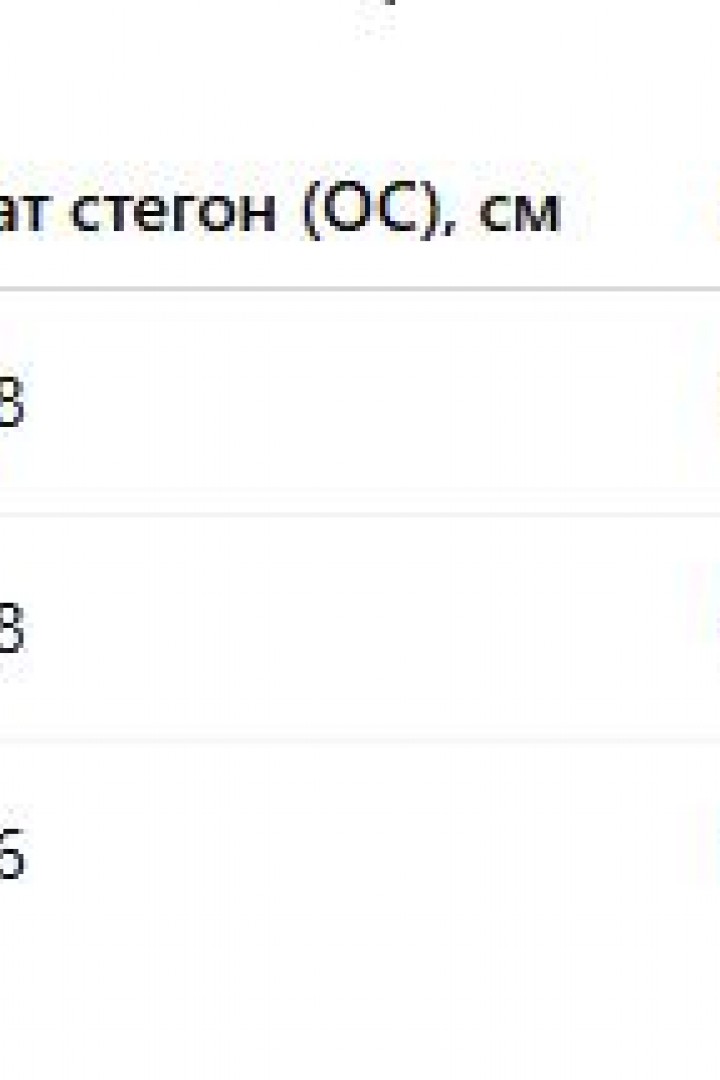 Штани з лампасами  AJ-17184A430