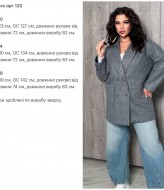 Короткое пальто пиджак  NJ-KG-120A890 