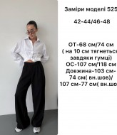 Стильные брюки женские  ANB-525A400