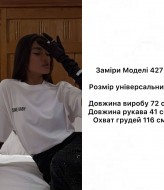 Футболка оверсайз  ANB-427A370