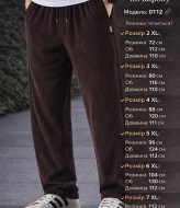 Чоловічі вельветові штани  JK-0112.1A399