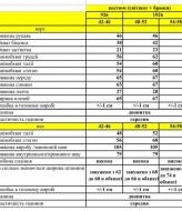 Костюм оверсайз   AMU-926A550