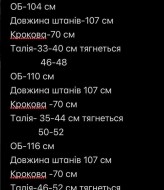 Жіночи брюки з високою посадкою AP-1133A400