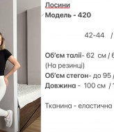 Базові лосіни  HOU-420A399 