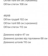 Велюровый костюм женский спортивный  SAP-102A600