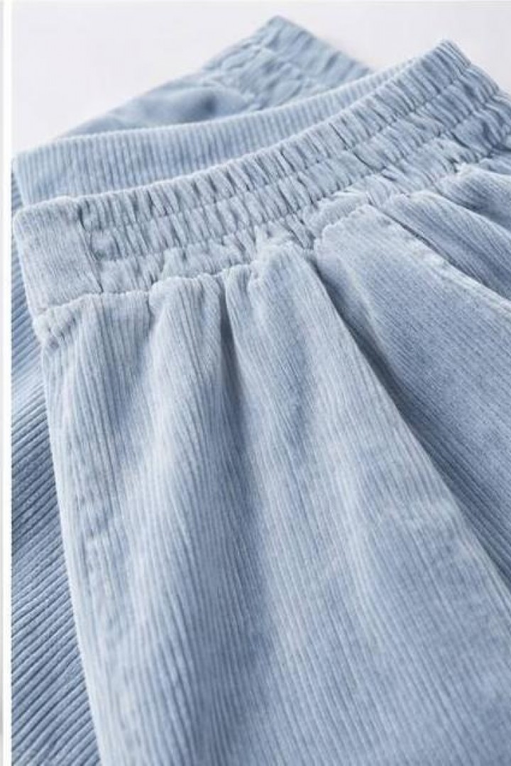 Вельветові штани  BAV-2607.1A420