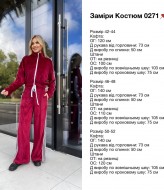 Велюровый костюм с лампасами AVB-0271A650