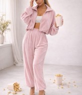 Велюровий спортивний костюм ZIF-1483A720