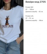 Стильная футболка ZL-2705A450