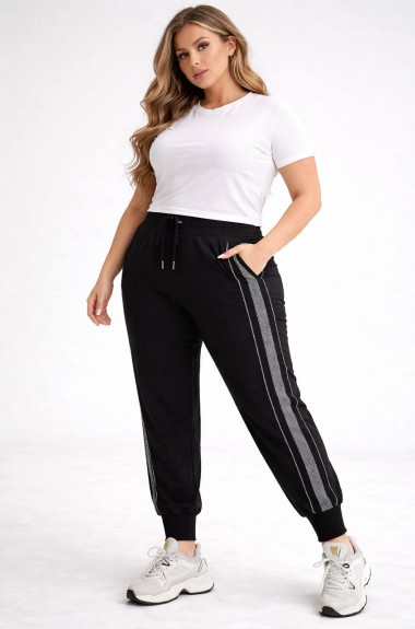 Спортивні штани  JK-1921A350