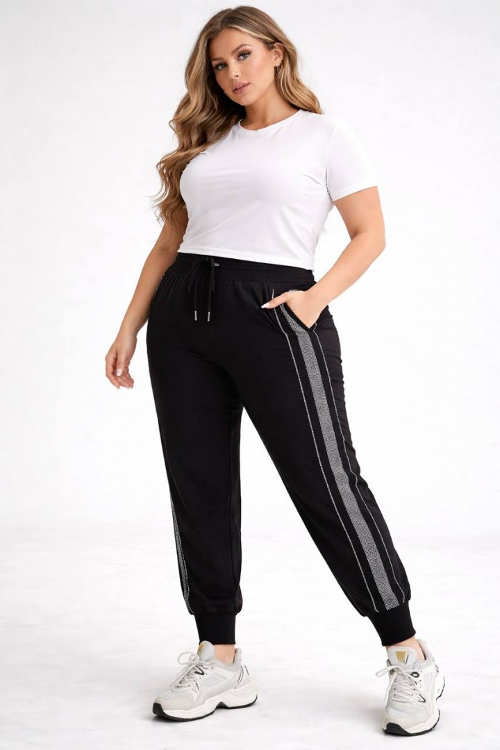 Спортивні штани  JK-1921A350