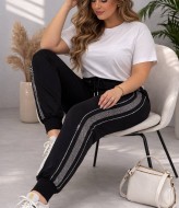 Спортивні штани  JK-1921A350