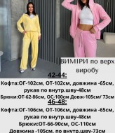 Спортивный велюровый костюм  JAV-820A750
