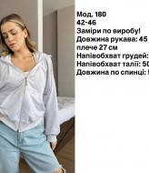 Худи зип REM-180A480