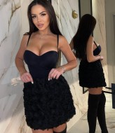 Спідниця з трояндами HOU-403A449