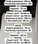 Чоловічий спортивний костюм EVD-1003A700