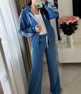 Велюровый костюм  AMU-1964.964A1150