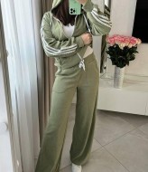 Велюровый костюм  AMU-1964.964A1150