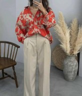 Стильная блуза  AMU-7175A299