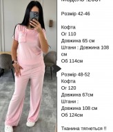 Велюровий костюм  JK-2037A499