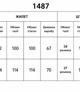 Женский костюм с жилеткой  LOU-1487A900